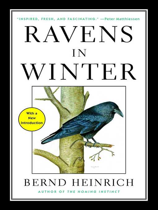 Cover image for Ravens in Winter